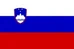 Slovenska zastava